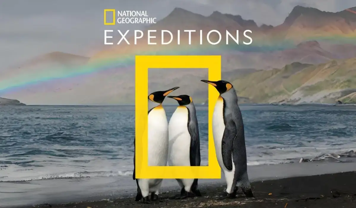 Three penguins on rocky beach with rainbow in the background National Geographic Expedition