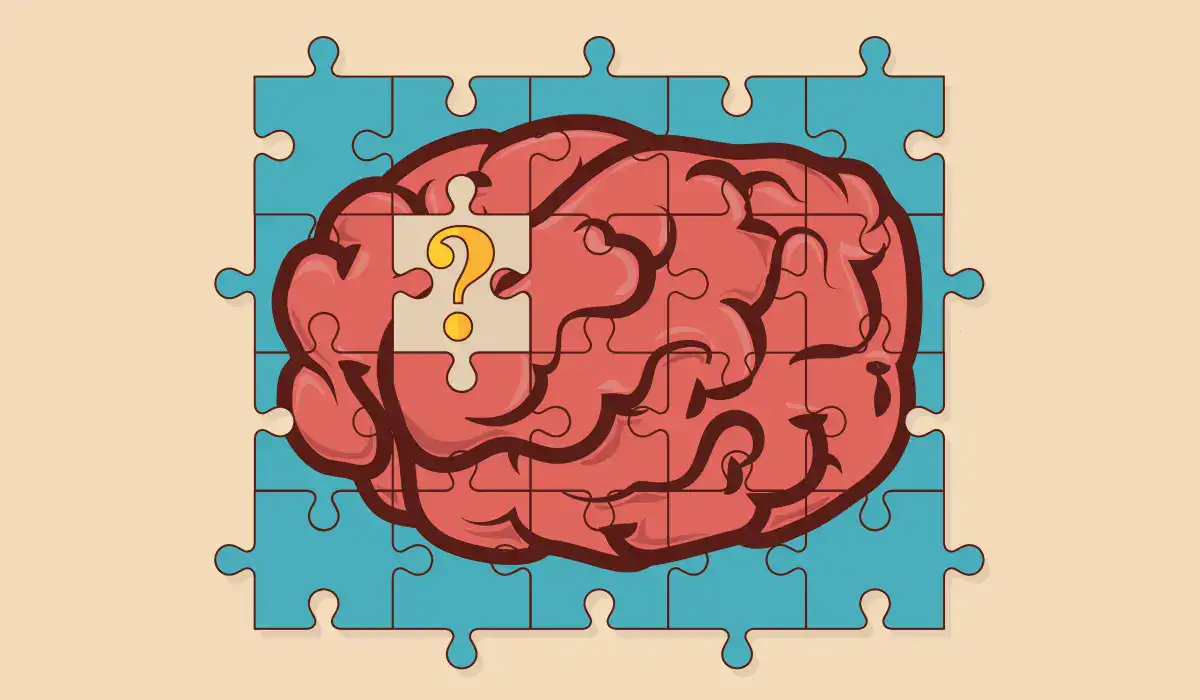 Brain puzzle