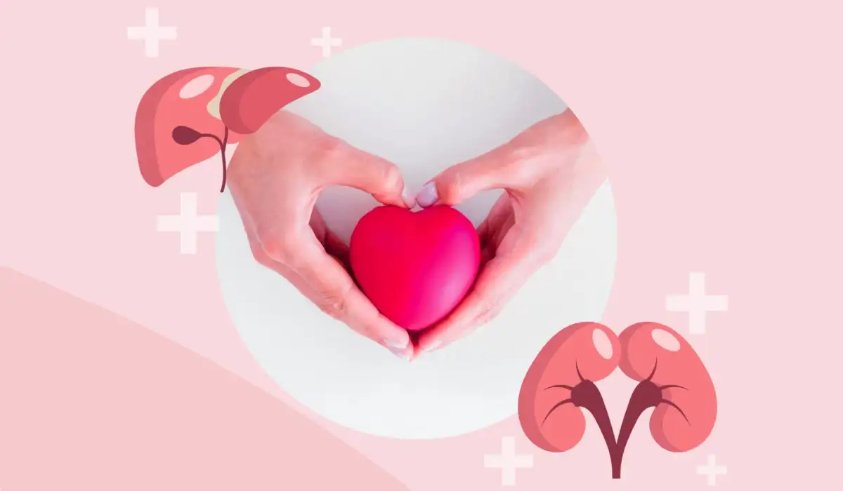 Woman holding heart, liver and kidneys decorating organ donor day illustration