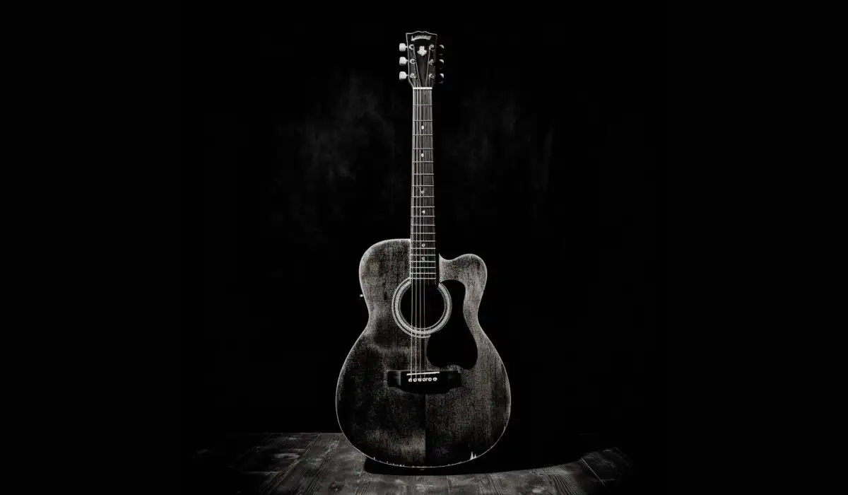 Arafed acoustic guitar in a black and white photo