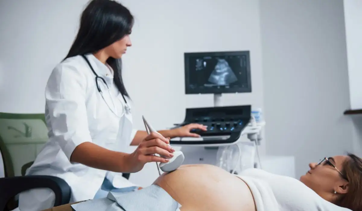 A female doctor does ultrasound for a pregnant woman in the hospital.