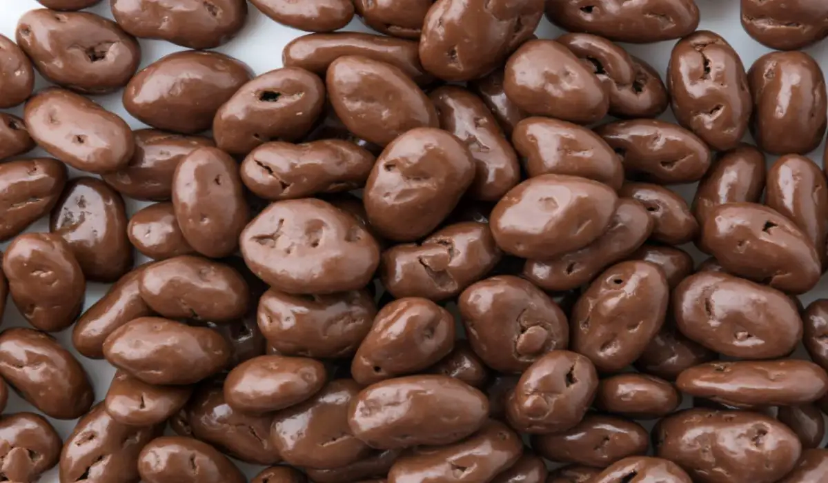 Various raisins with chocolate