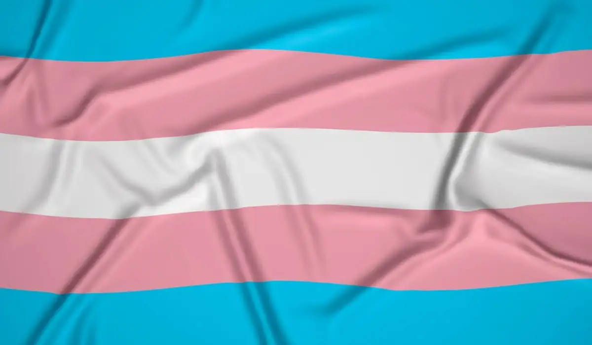 Realistic Transgender Pride Flag