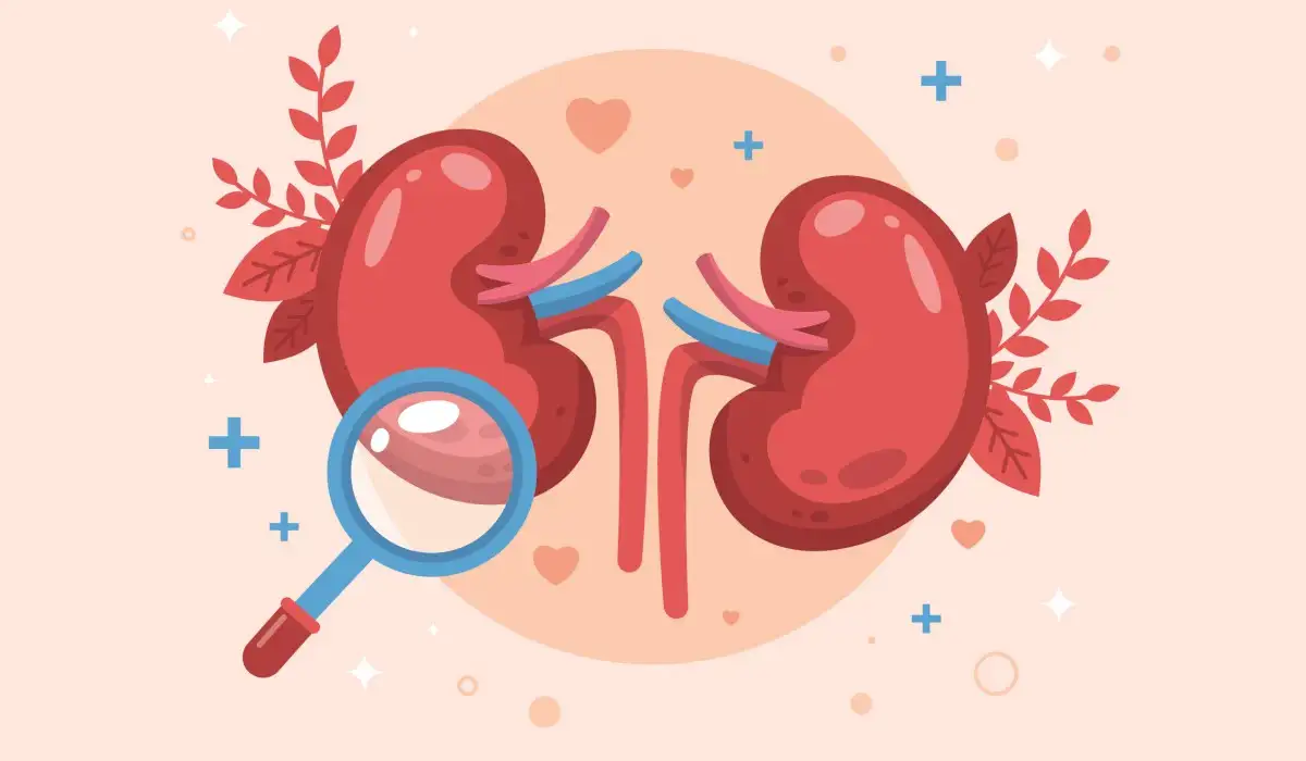 Illustration for world kidney day with a pair of kidneys and a magnifying glass