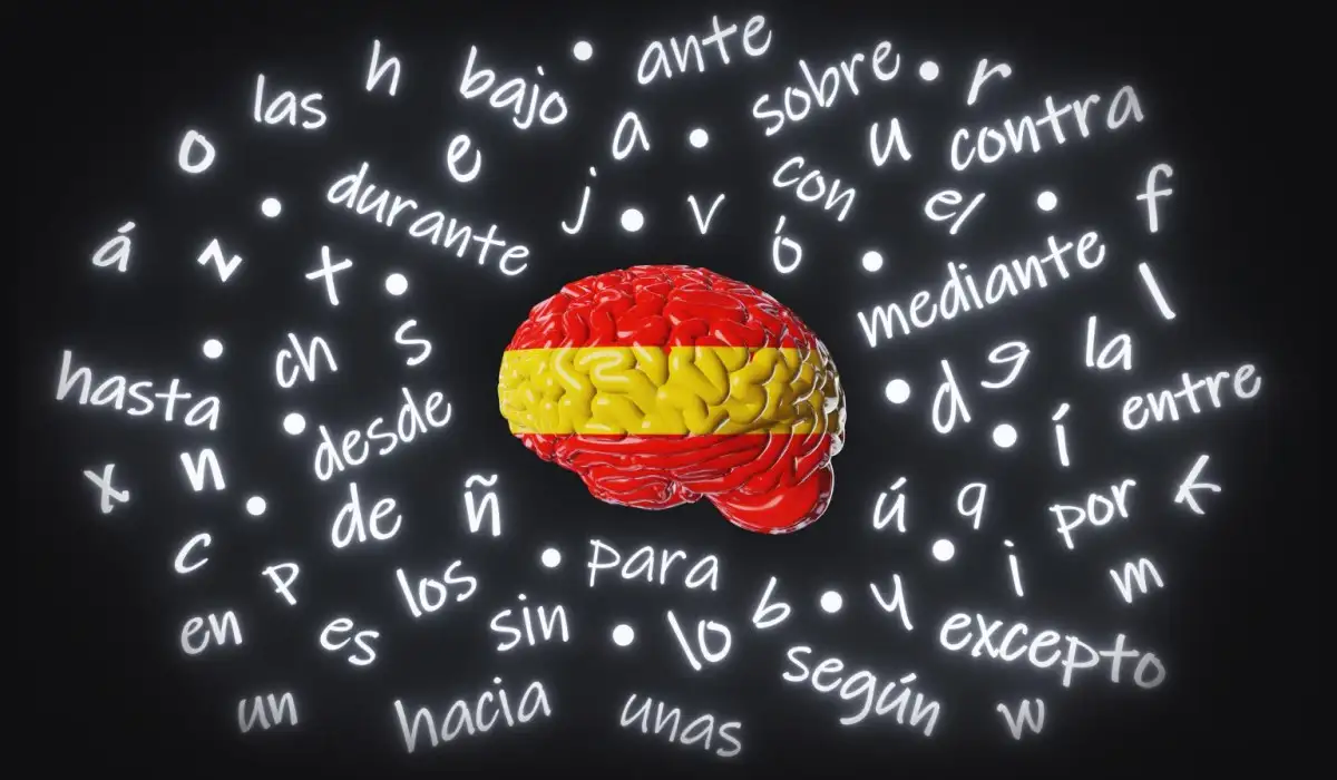 Human brain painted with the flag of Spain, with many Spanish words around it