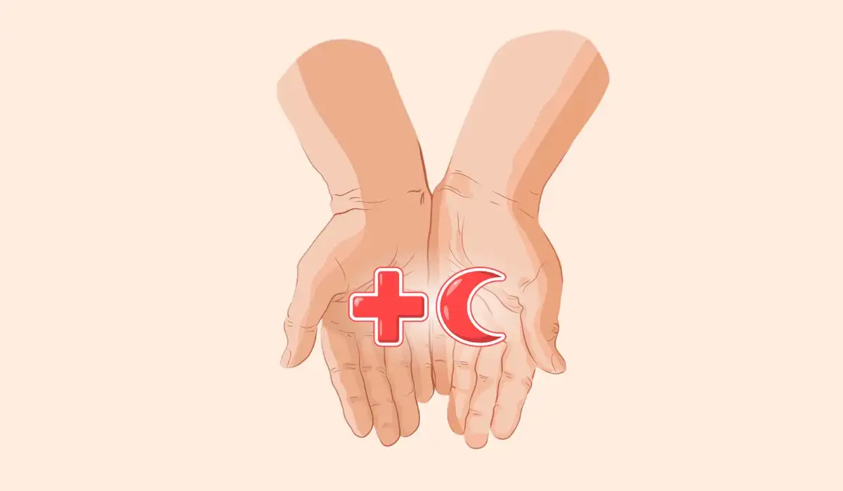Hands holding the red cross and the red crescent