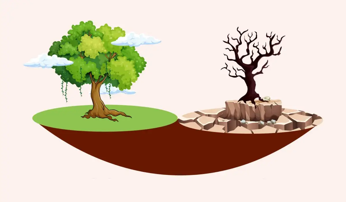 One green tree and one dry one on the other side in illustration of desertification and drought on the earth