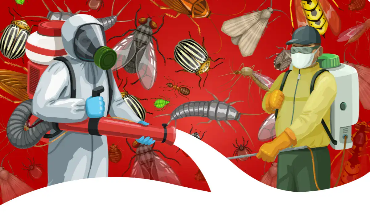 Pest control service, workers spraying insecticides