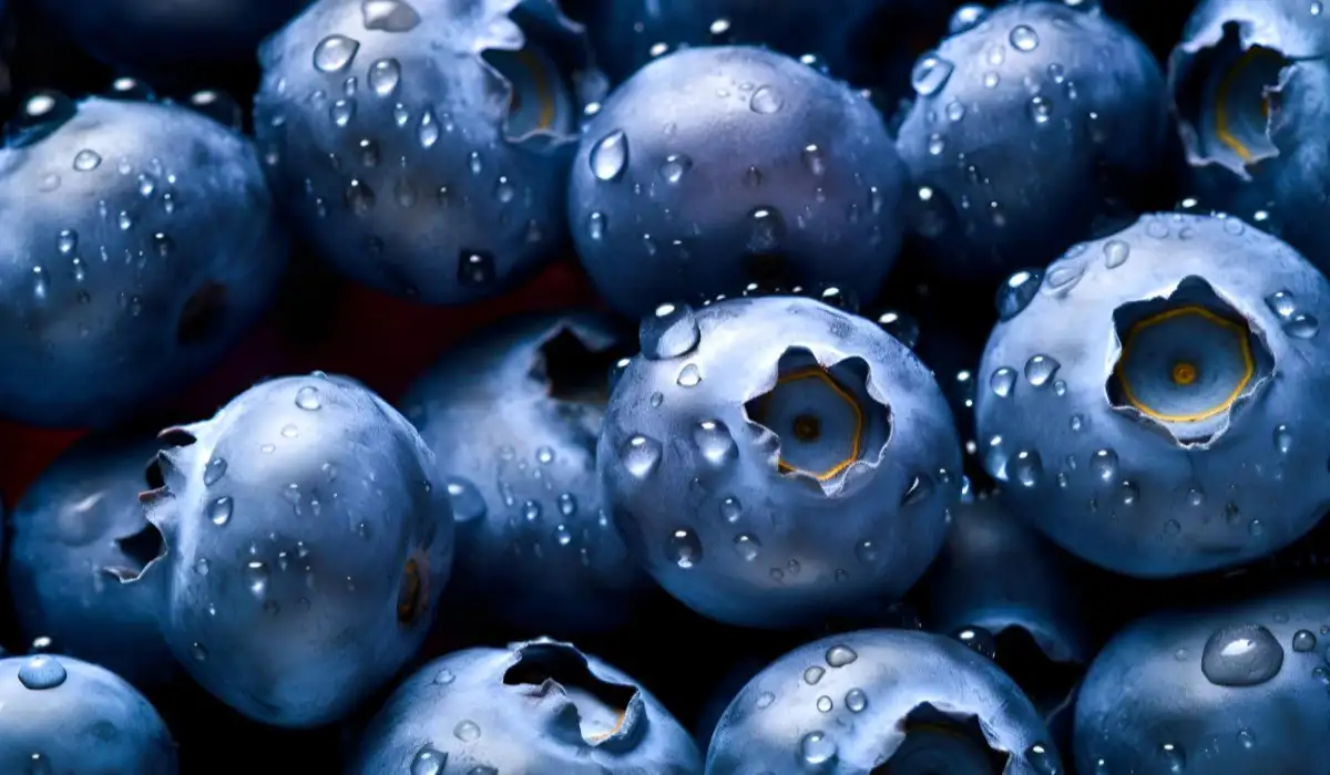 Ripe blueberries background a closeup