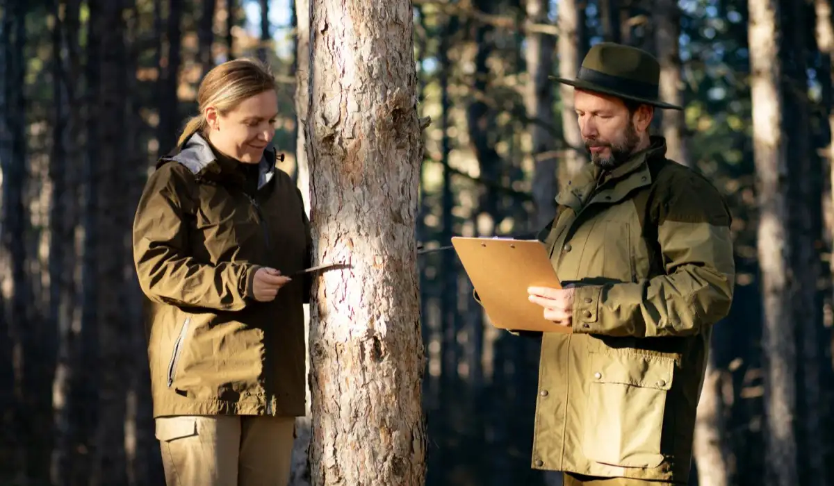 Park ranger analyzing a tree in the forest