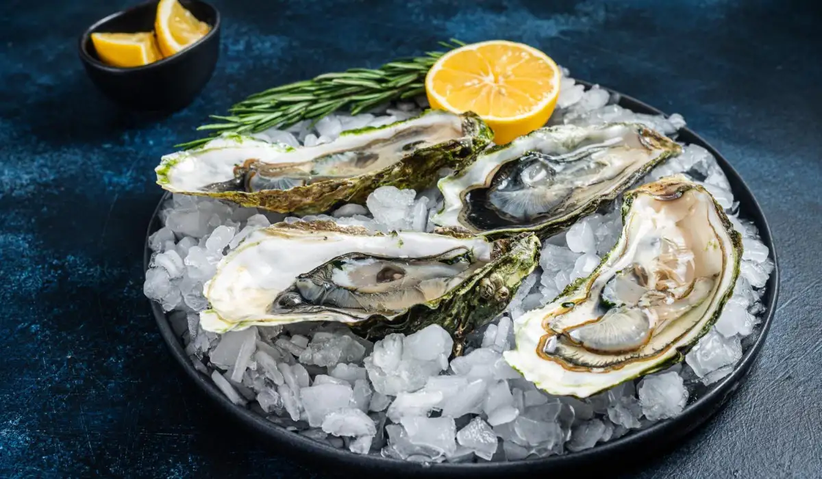 Appetizer of fresh oysters on ice with lemon all on a table