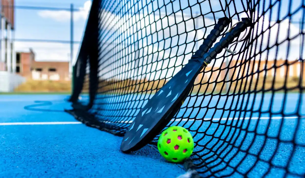 Pickleball ball and paddles resting on the net of a pickleball court