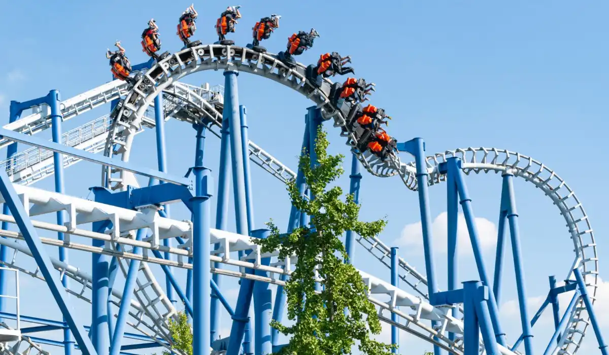 Roller coaster circuit in amusement park