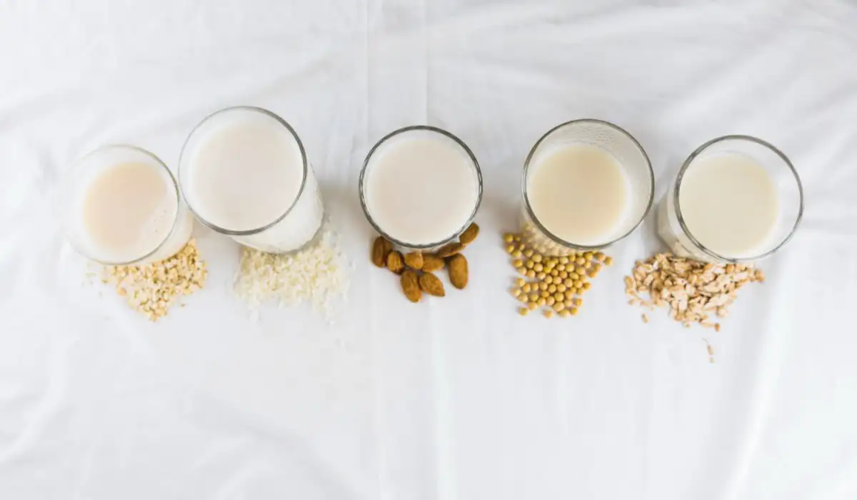 Different types of glasses of vegetable milk and cereals