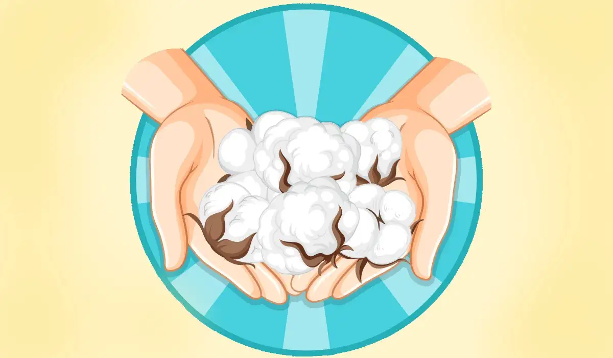 Hands holding cotton