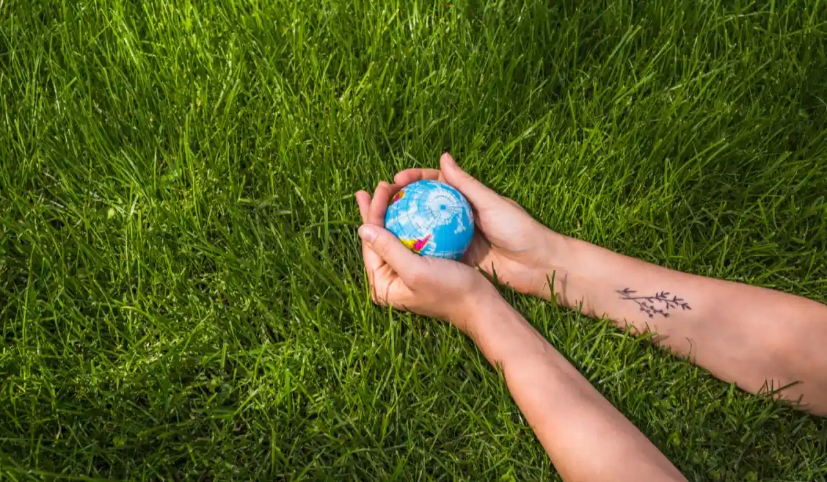 Hands holding globe ball on green grass