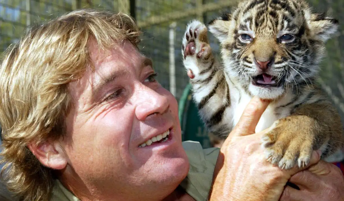 Steve Irwin holding a tiger cub
