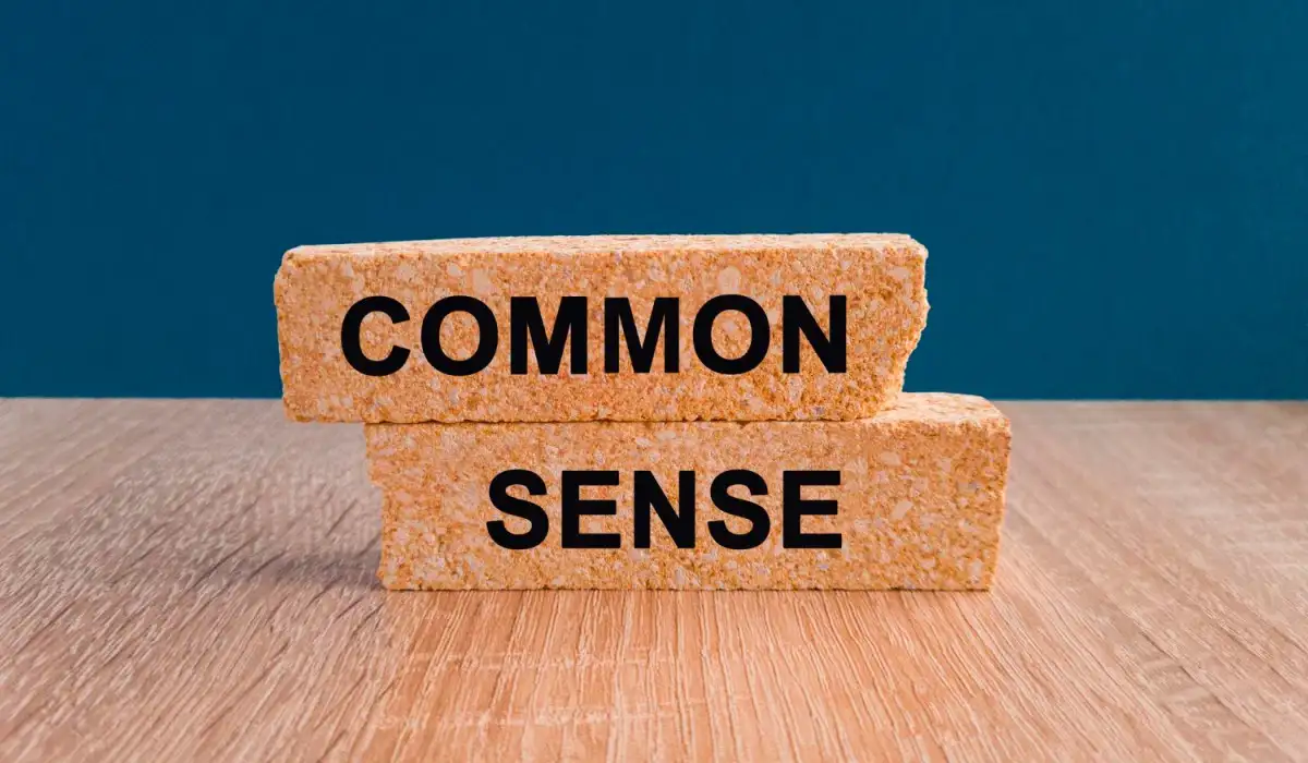 Common sense in beautiful brick blocks