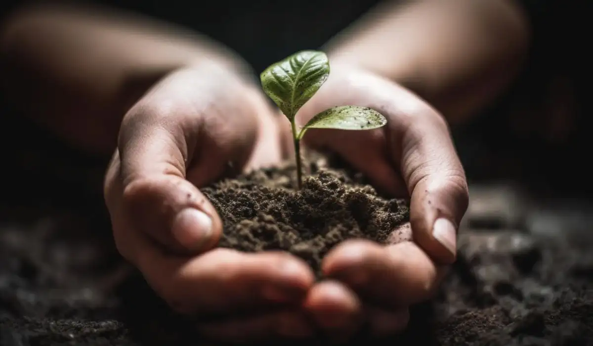 New life begins with human hand planting seed